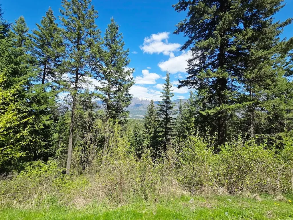 93 Wapiti Point Road Thompson Falls MT 59873