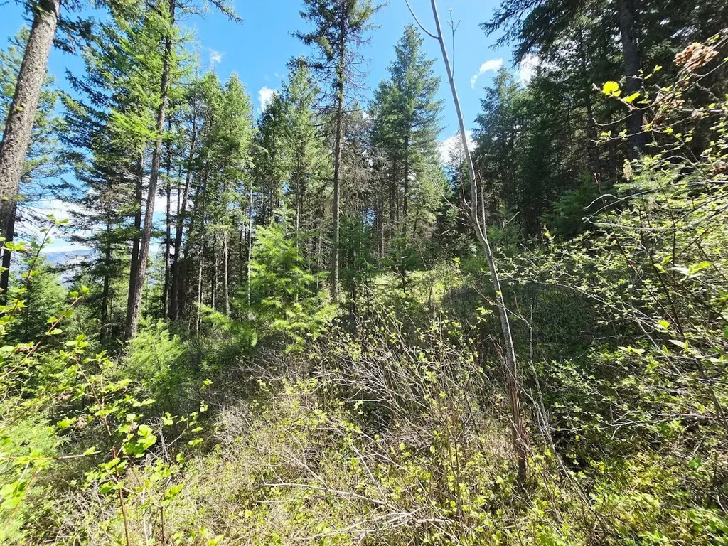 93 Wapiti Point Road Thompson Falls MT 59873