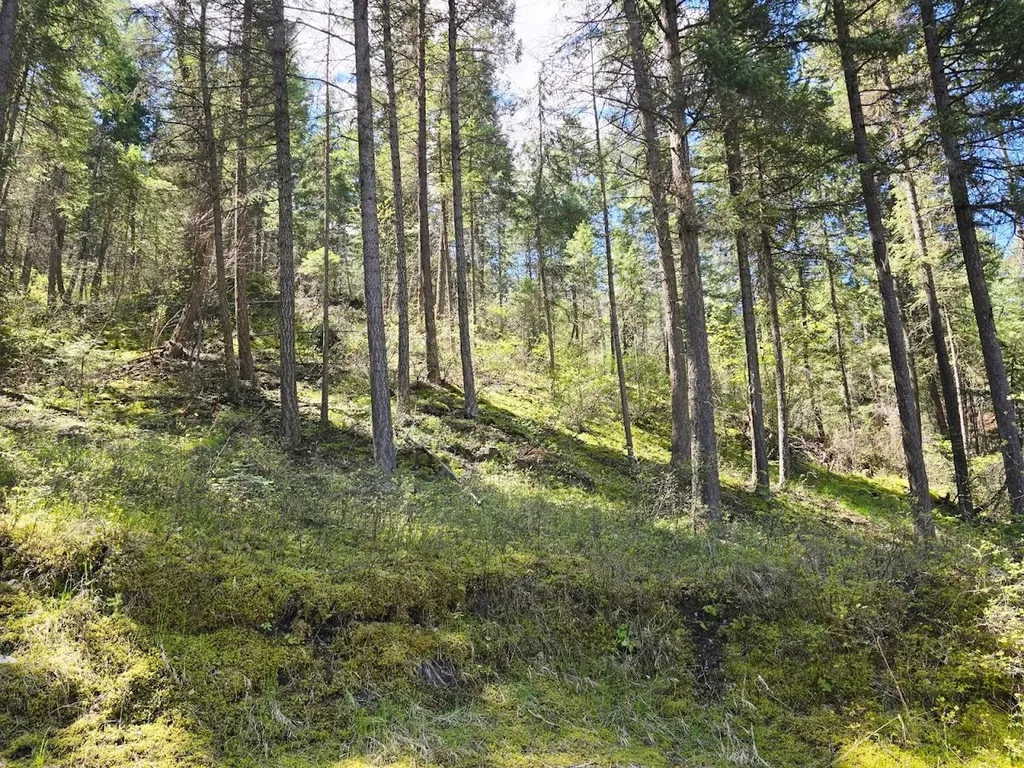 93 Wapiti Point Road Thompson Falls MT 59873