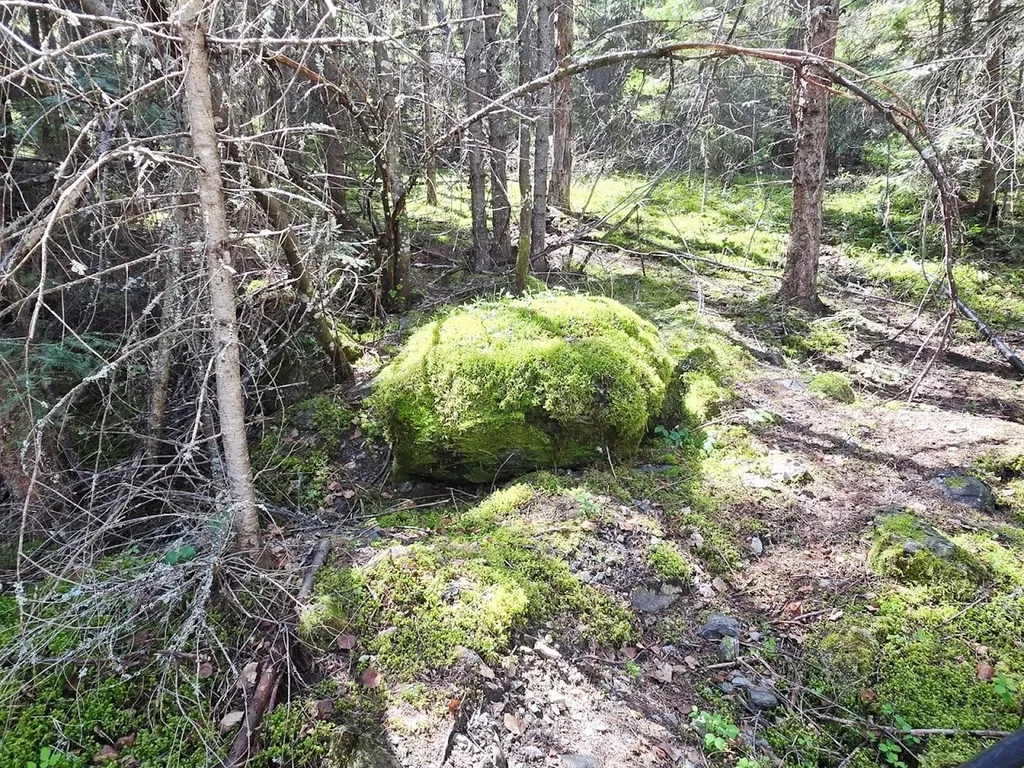 93 Wapiti Point Road Thompson Falls MT 59873