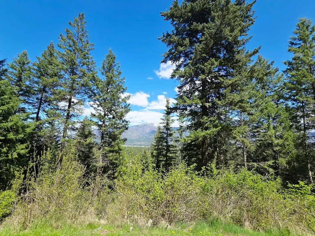 93 Wapiti Point Road Thompson Falls MT 59873