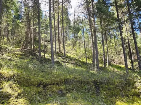 93 Wapiti Point Road Thompson Falls MT 59873