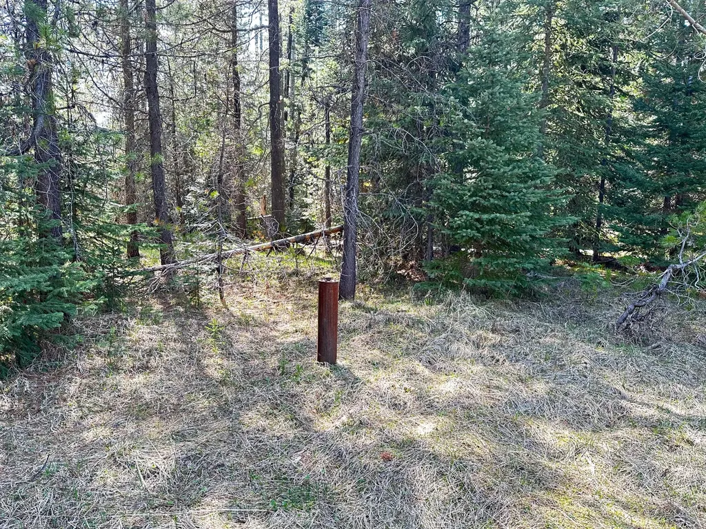 1958 Packer Creek Road Saltese MT 59867