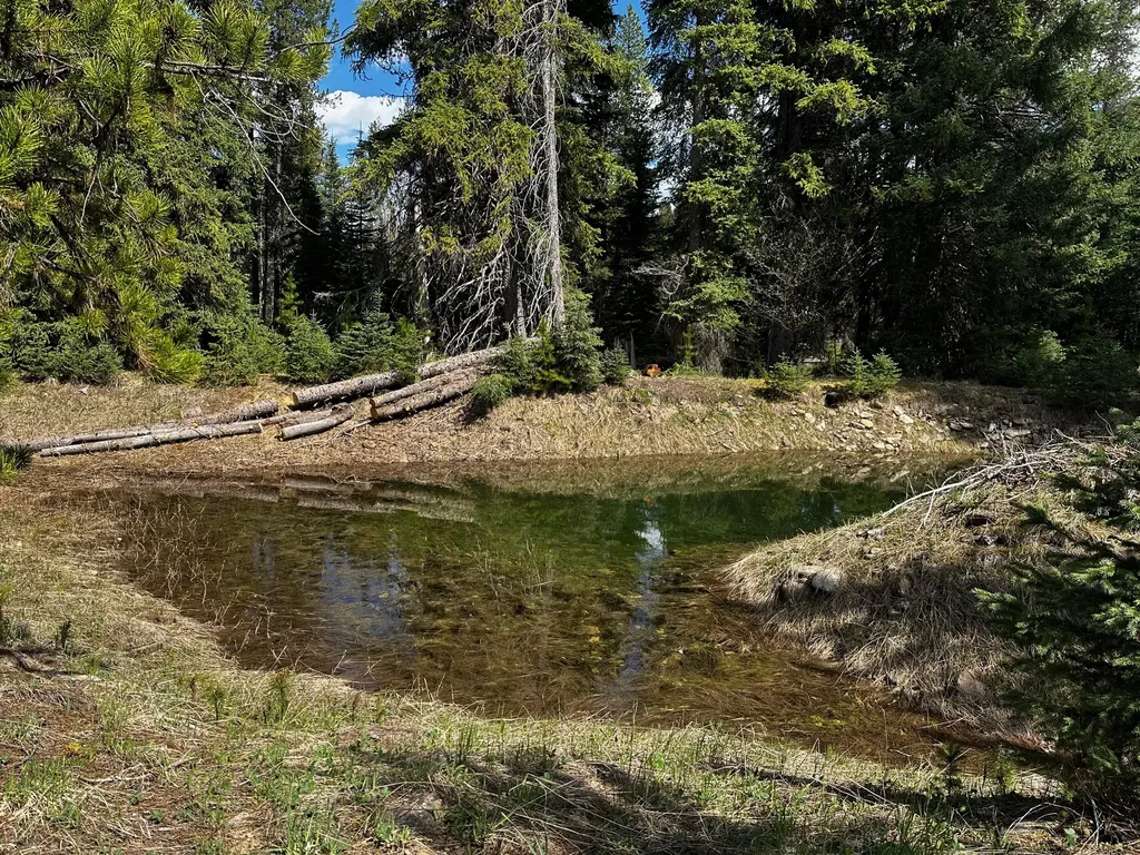 1958 Packer Creek Road Saltese MT 59867