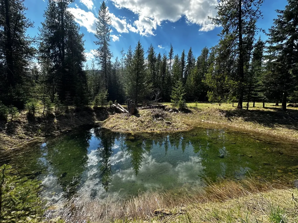 1958 Packer Creek Road Saltese MT 59867