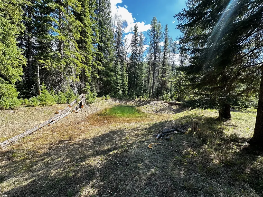 1958 Packer Creek Road Saltese MT 59867