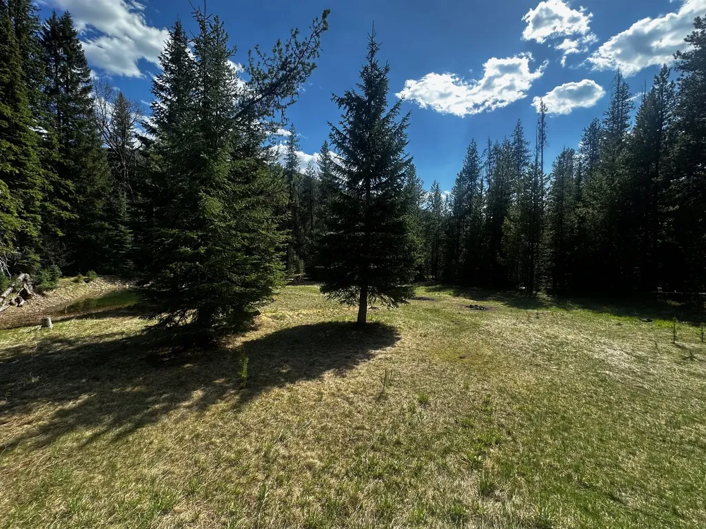 1958 Packer Creek Road Saltese MT 59867
