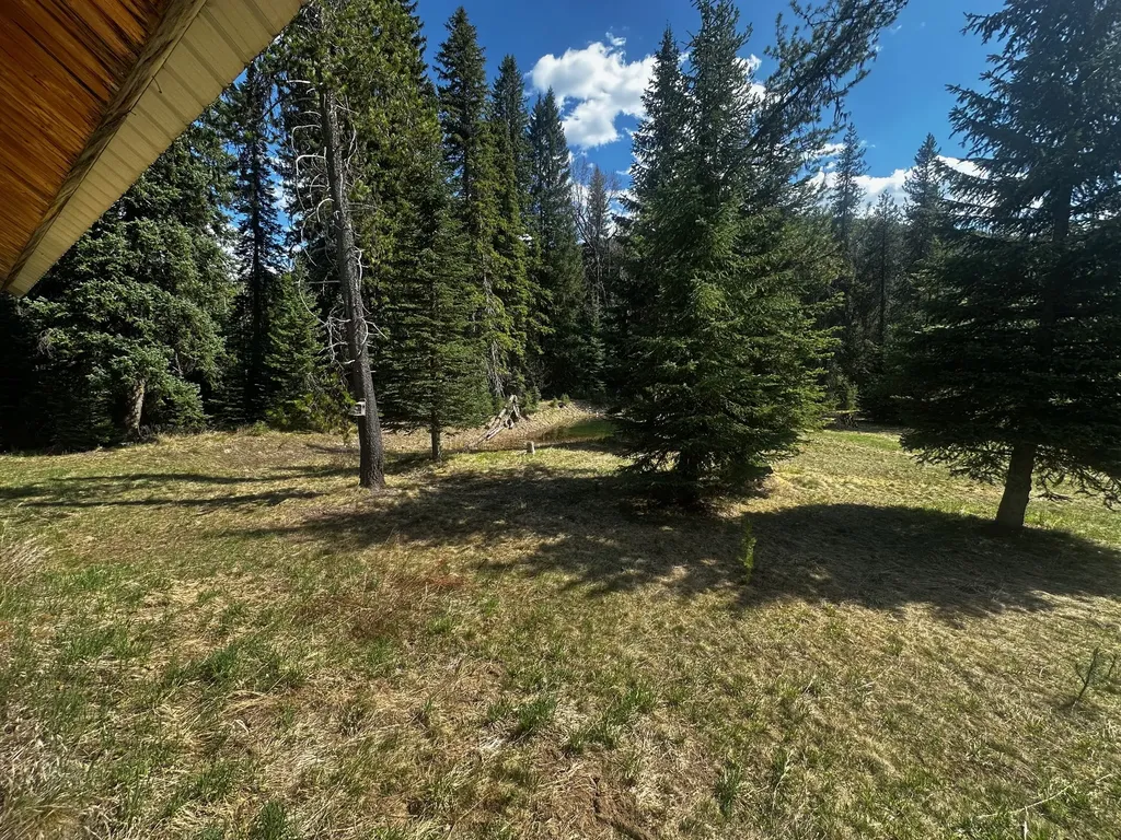 1958 Packer Creek Road Saltese MT 59867