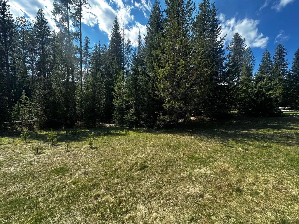 1958 Packer Creek Road Saltese MT 59867