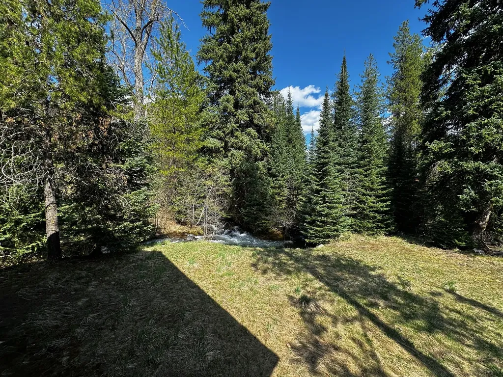 1958 Packer Creek Road Saltese MT 59867