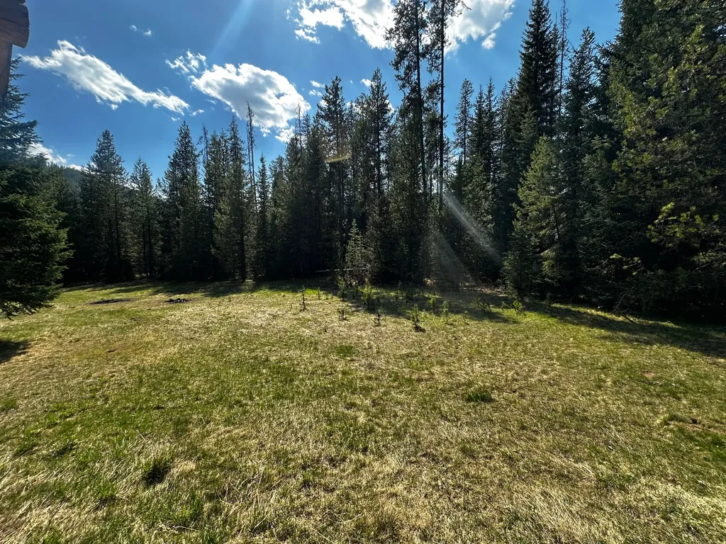 1958 Packer Creek Road Saltese MT 59867