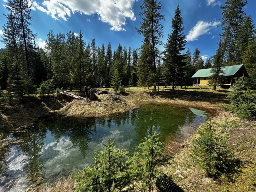 1958 Packer Creek Road Saltese MT 59867