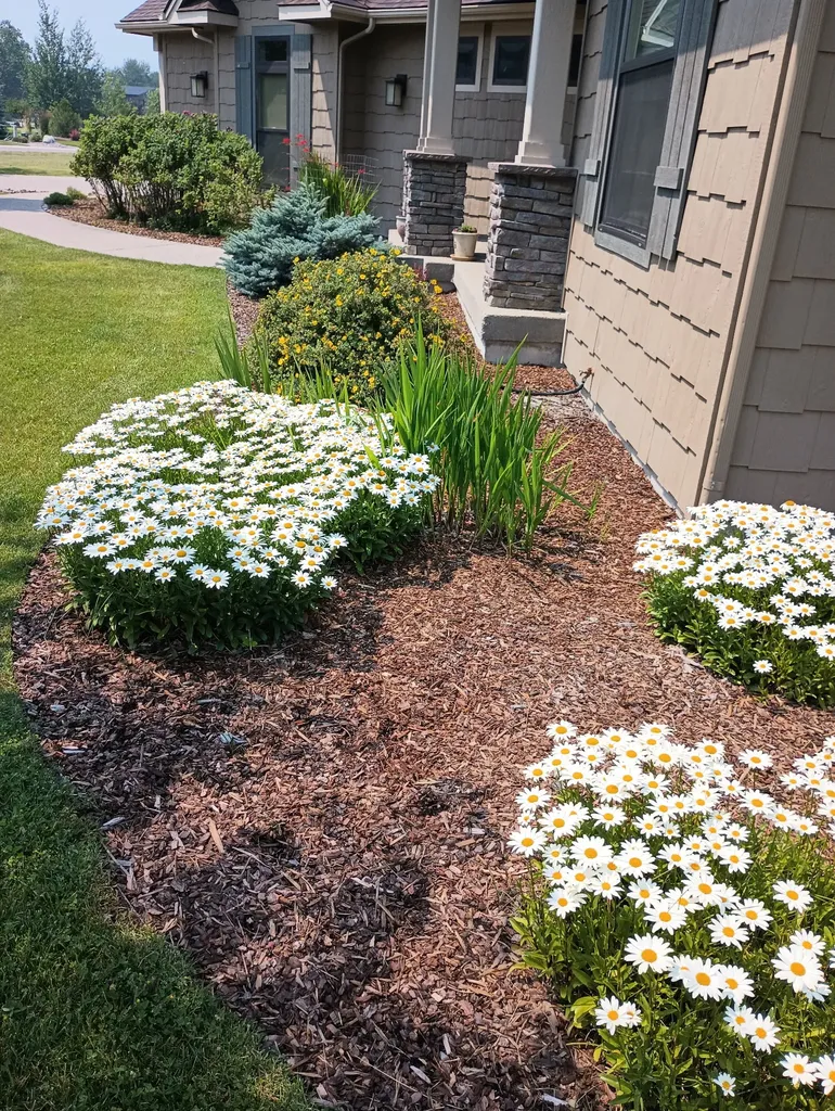 Nhn Lake Pointe Drive Bigfork MT 59911