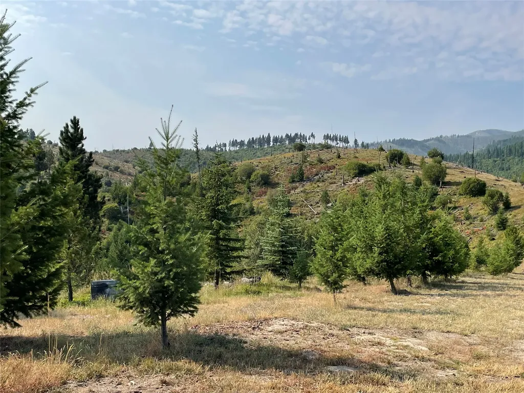 55 Blind Draw Road Conner MT 59827
