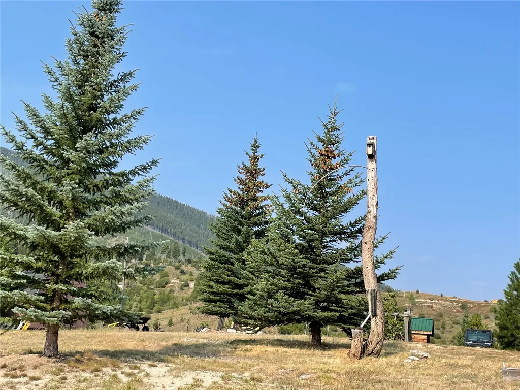 55 Blind Draw Road Conner MT 59827