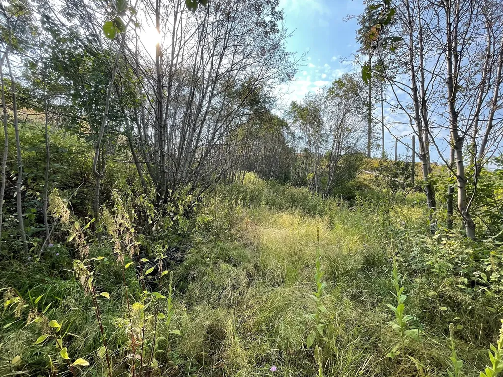 55 Blind Draw Road Conner MT 59827
