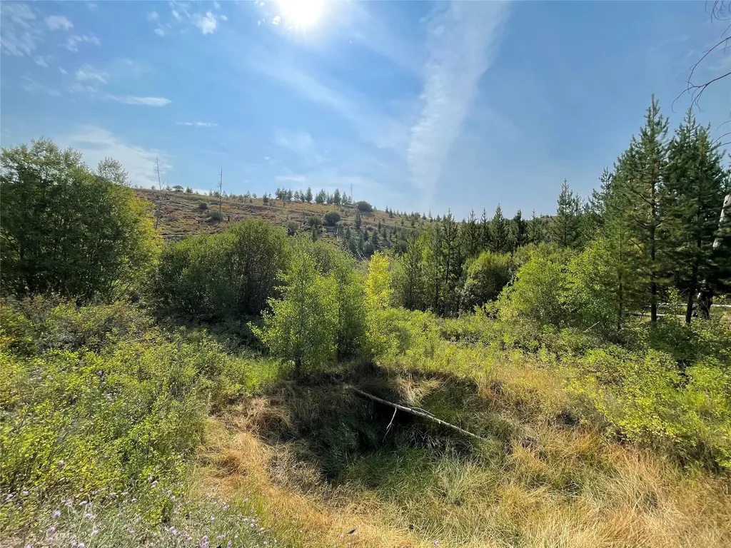 55 Blind Draw Road Conner MT 59827