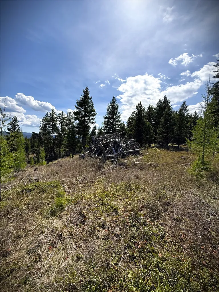 78 Ivor Creek Road Trego MT 59934