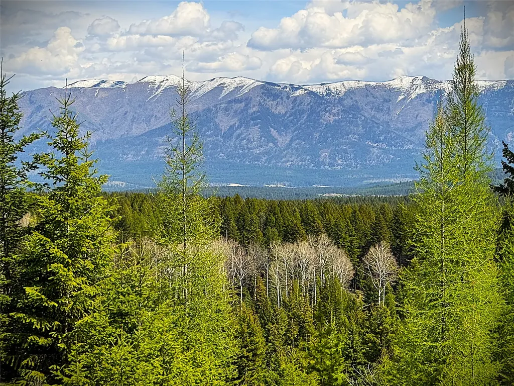 78 Ivor Creek Road Trego MT 59934