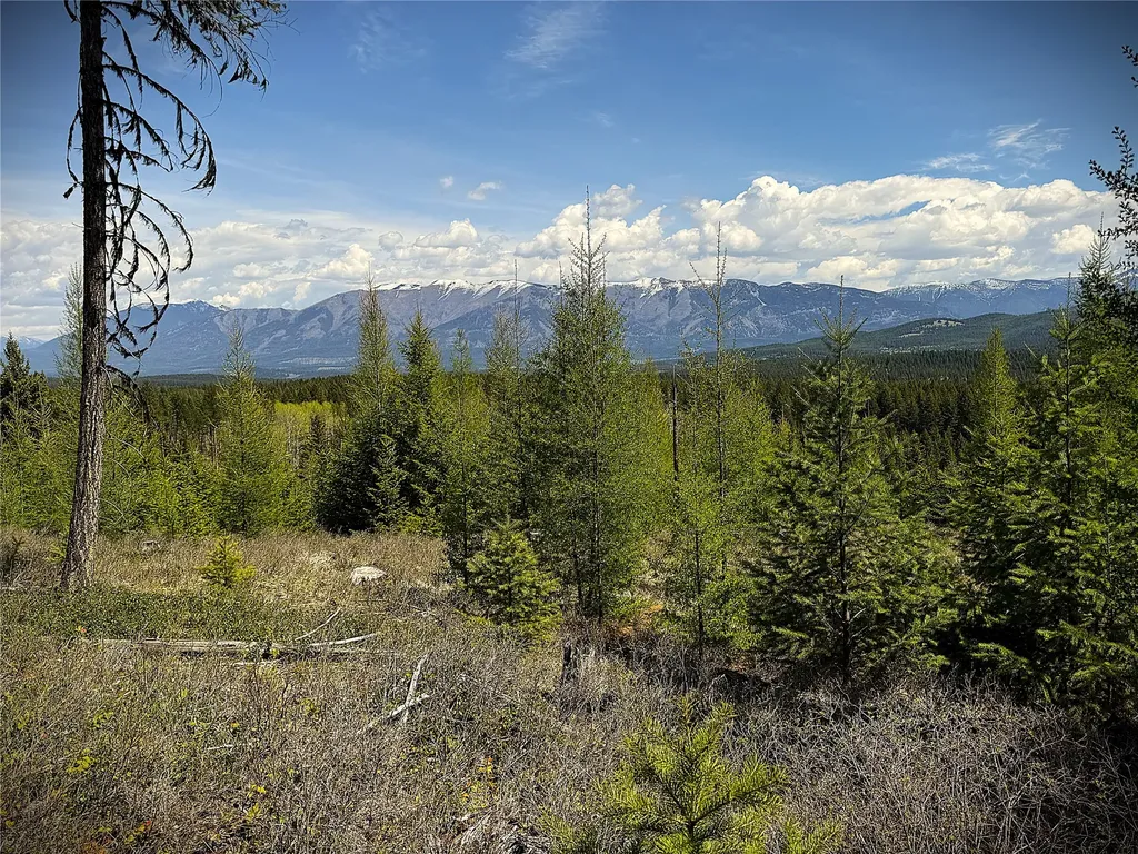 78 Ivor Creek Road Eureka MT 59917