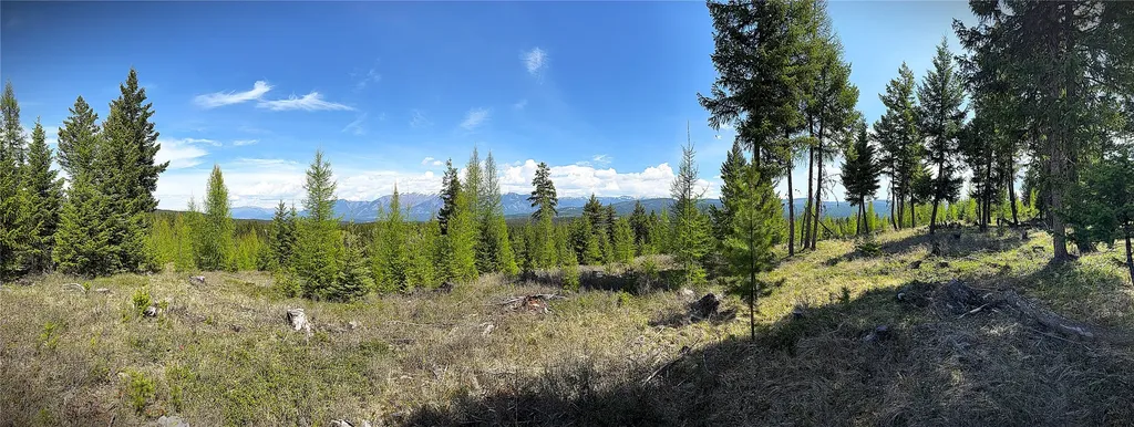 78 Ivor Creek Road Eureka MT 59917