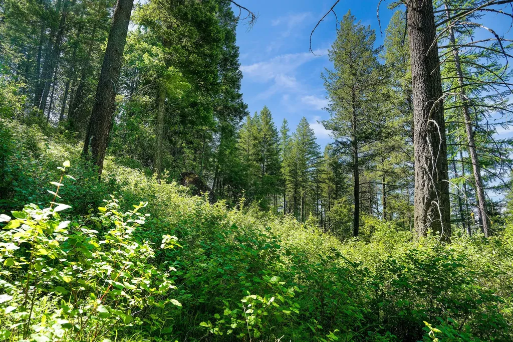 643 Saddlehorn Trail Bigfork MT 59911