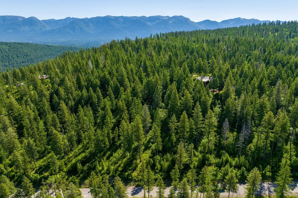 643 Saddlehorn Trail Bigfork MT 59911