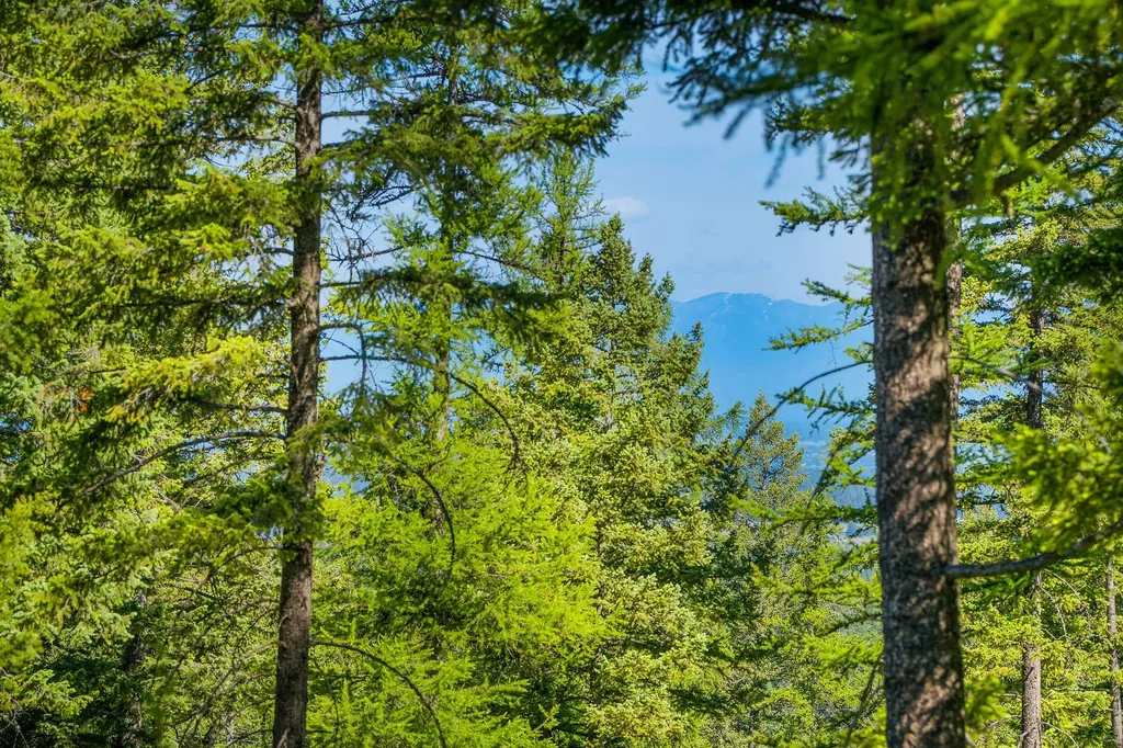643 Saddlehorn Trail Bigfork MT 59911