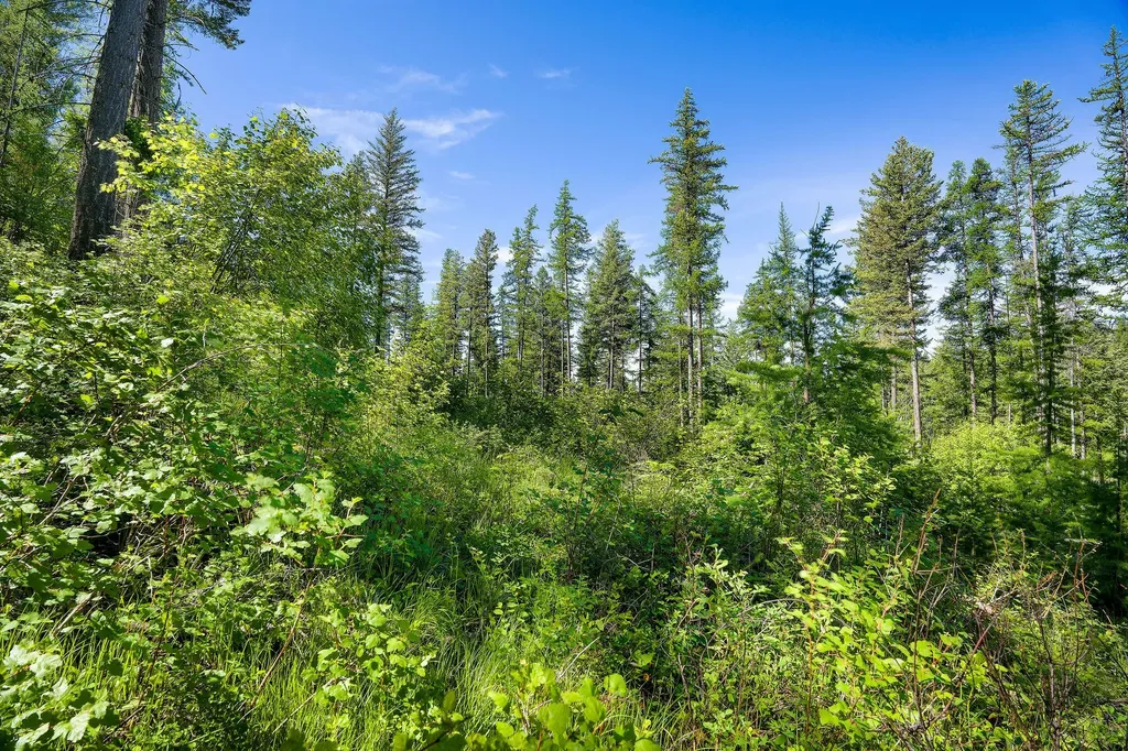 643 Saddlehorn Trail Bigfork MT 59911