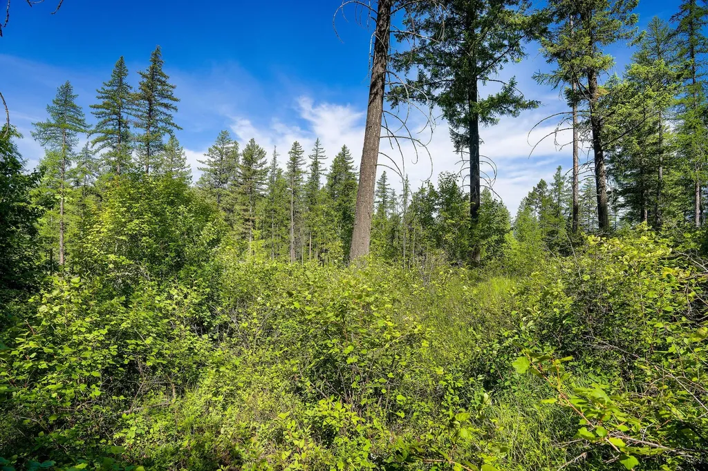 643 Saddlehorn Trail Bigfork MT 59911