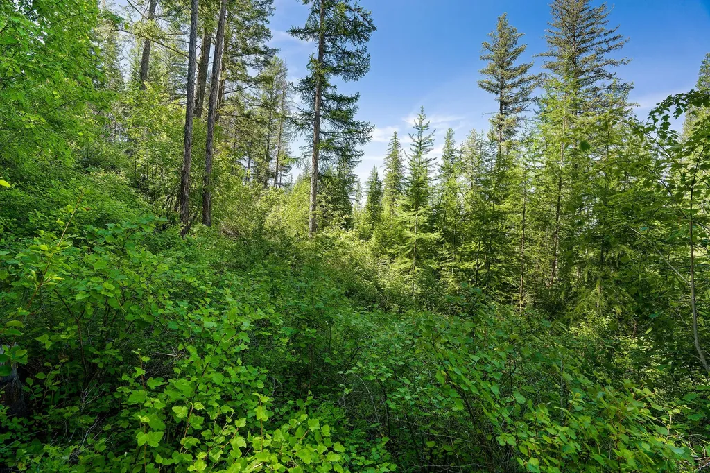 643 Saddlehorn Trail Bigfork MT 59911