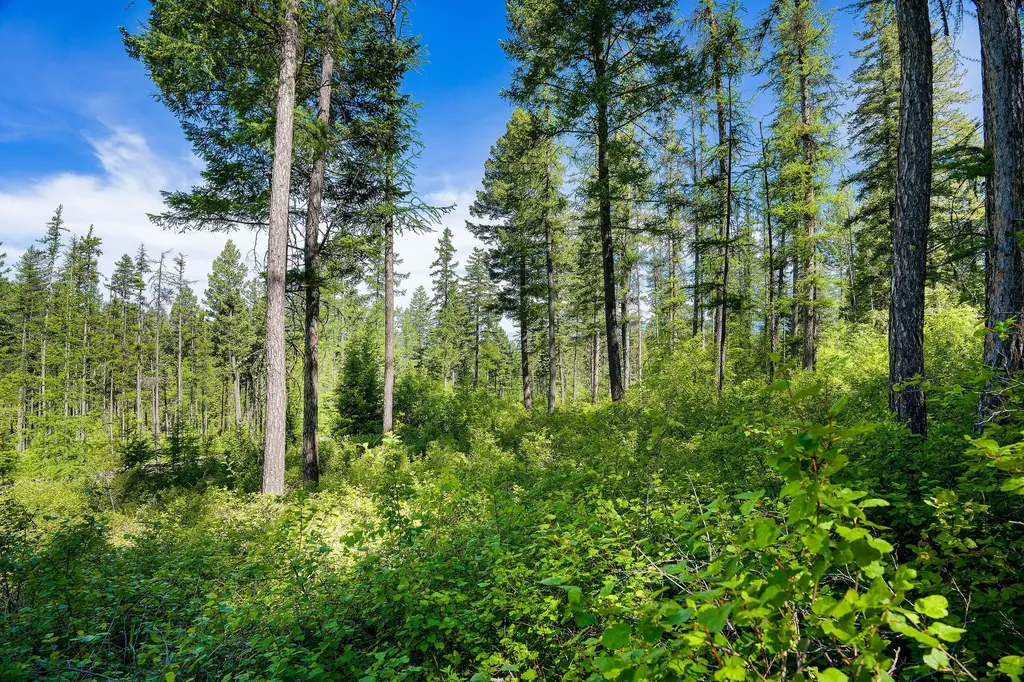 643 Saddlehorn Trail Bigfork MT 59911