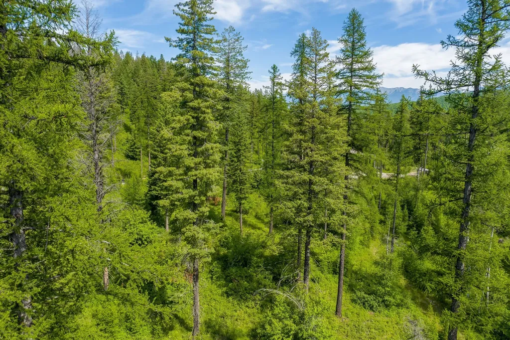477 Chief Cliff Trail Bigfork MT 59911