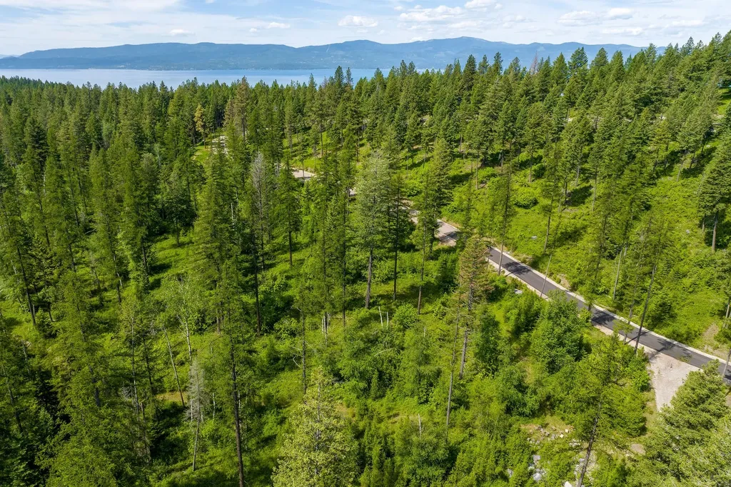 477 Chief Cliff Trail Bigfork MT 59911