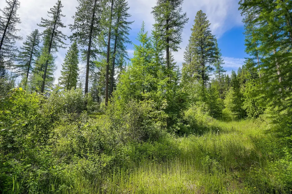 477 Chief Cliff Trail Bigfork MT 59911