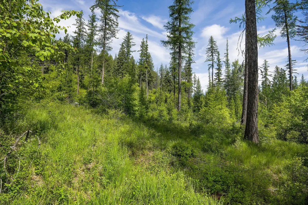 477 Chief Cliff Trail Bigfork MT 59911