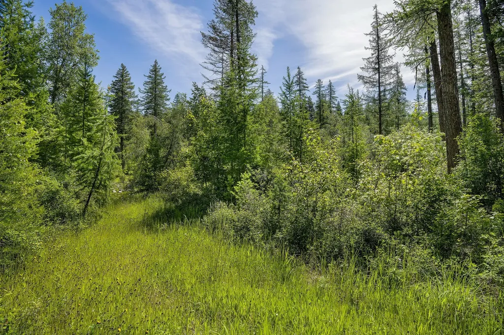 477 Chief Cliff Trail Bigfork MT 59911