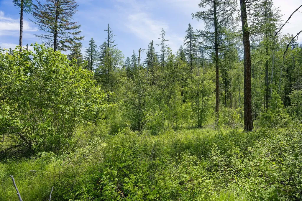477 Chief Cliff Trail Bigfork MT 59911