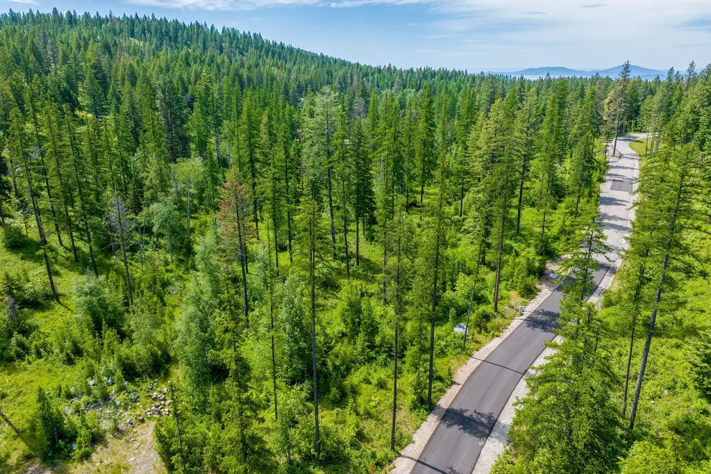 477 Chief Cliff Trail Bigfork MT 59911