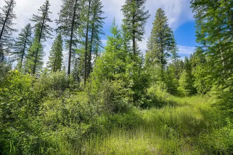 477 Chief Cliff Trail Bigfork MT 59911