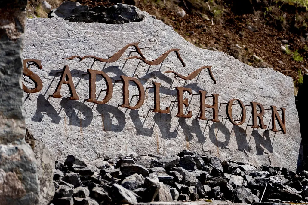 678 Saddlehorn Trail Bigfork MT 59911