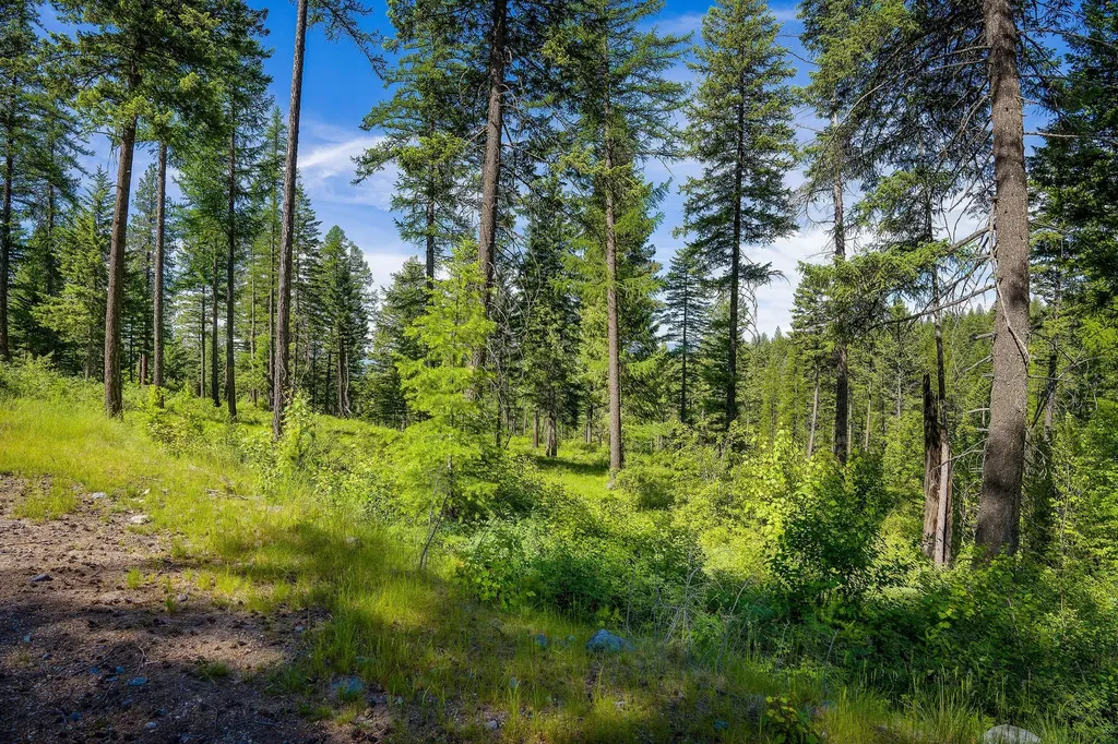 678 Saddlehorn Trail Bigfork MT 59911