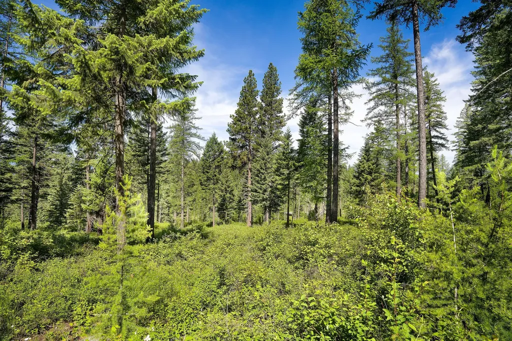 678 Saddlehorn Trail Bigfork MT 59911