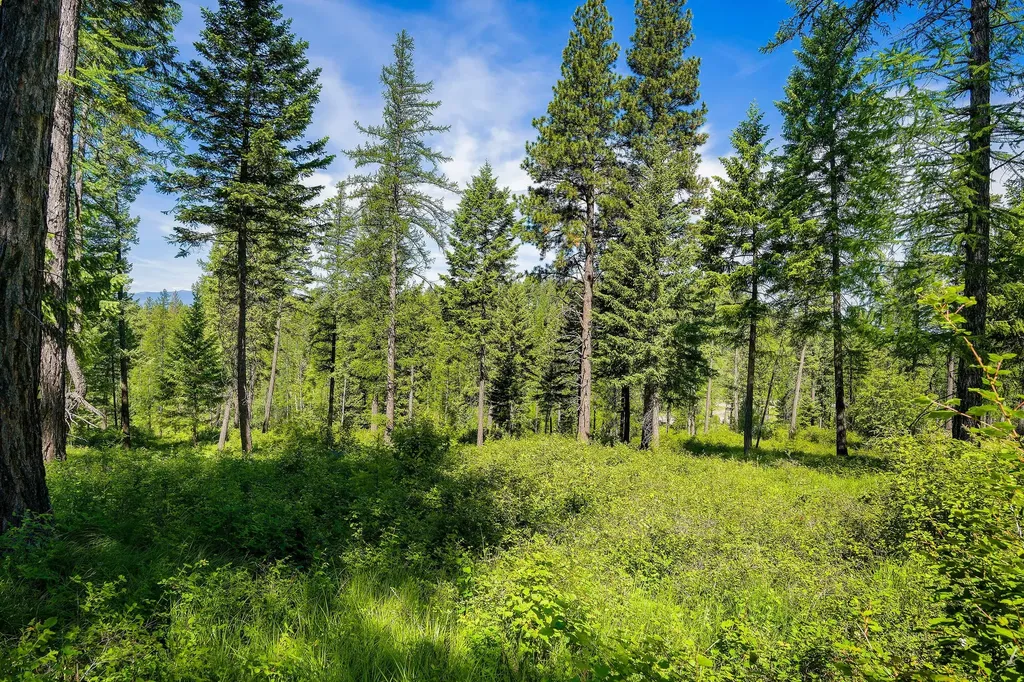678 Saddlehorn Trail Bigfork MT 59911