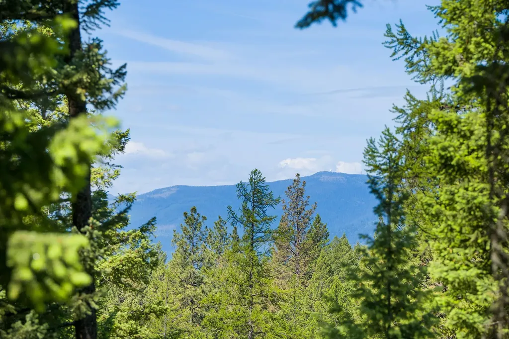678 Saddlehorn Trail Bigfork MT 59911
