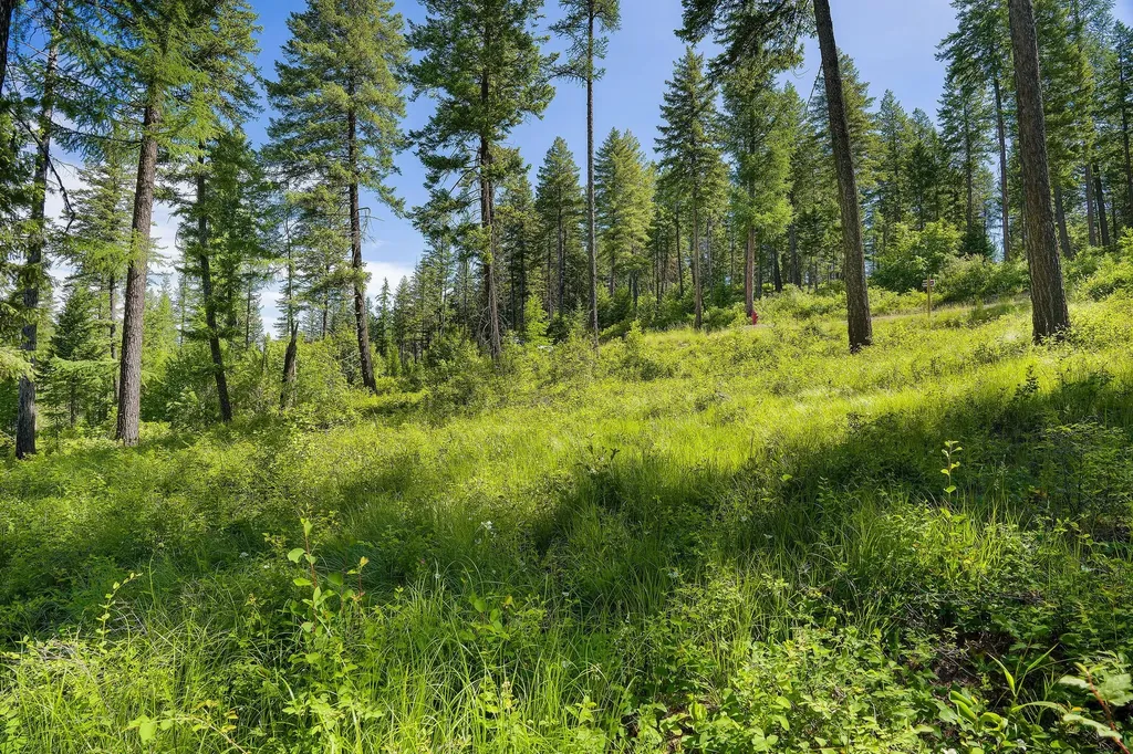 678 Saddlehorn Trail Bigfork MT 59911