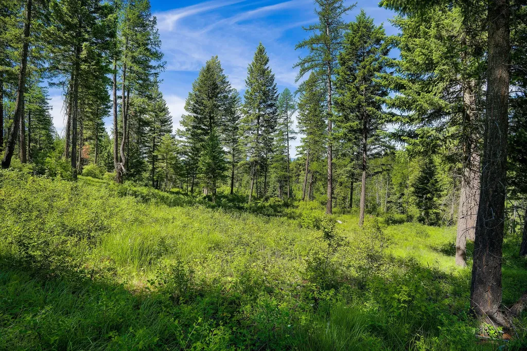 678 Saddlehorn Trail Bigfork MT 59911
