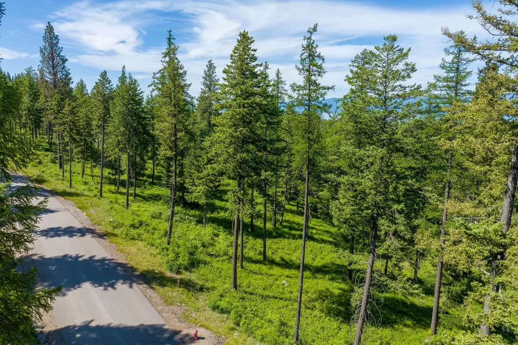 678 Saddlehorn Trail Bigfork MT 59911