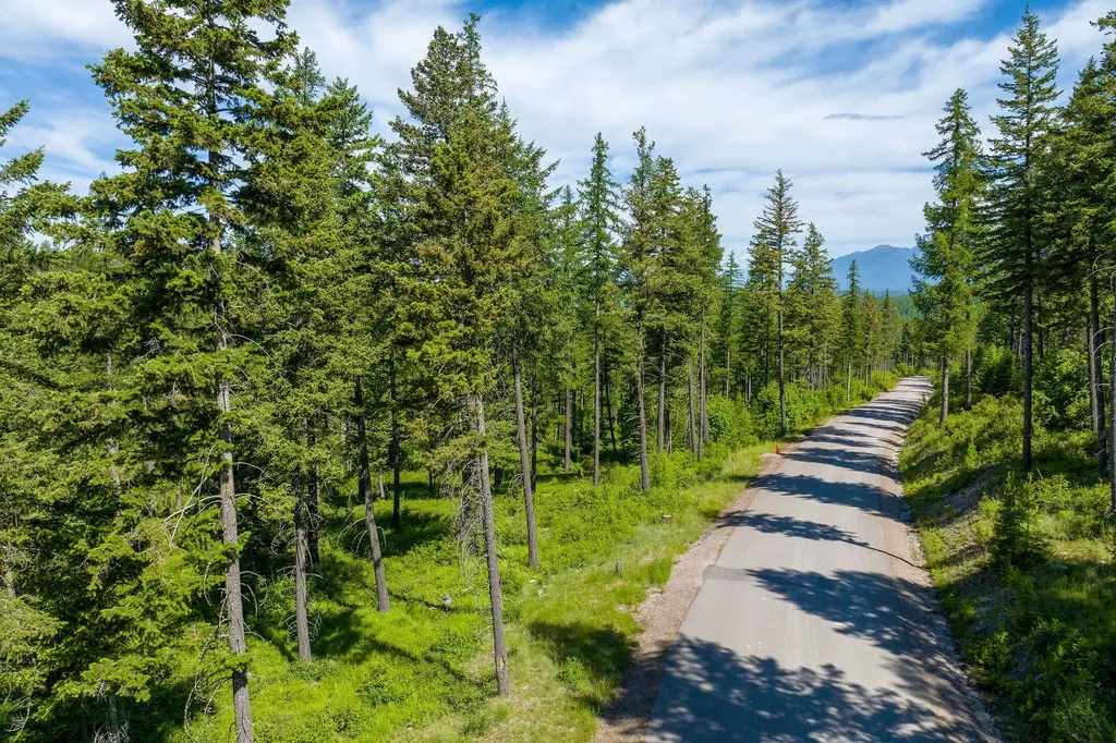 678 Saddlehorn Trail Bigfork MT 59911