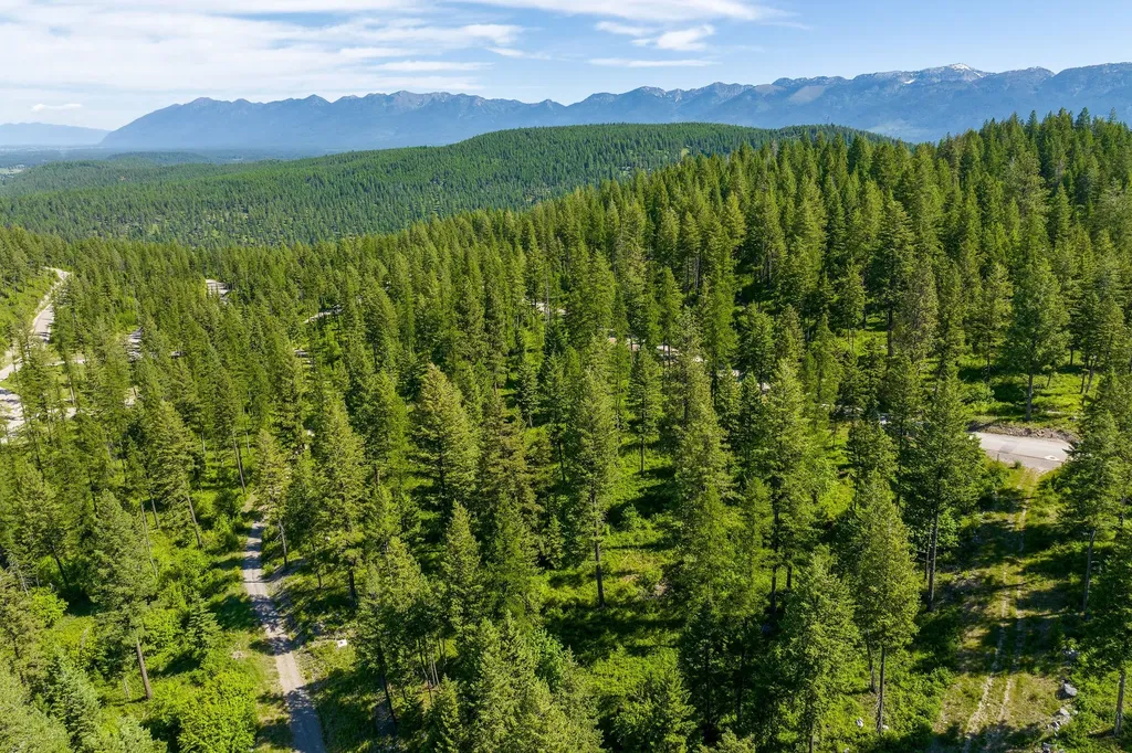 678 Saddlehorn Trail Bigfork MT 59911